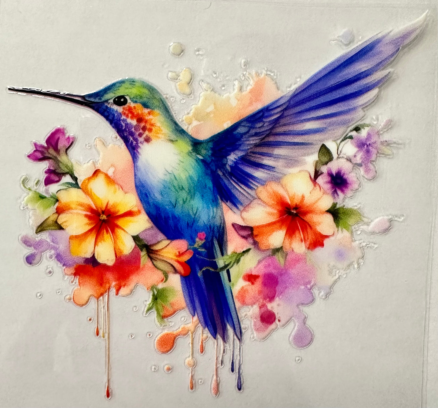 Humming Bird-007