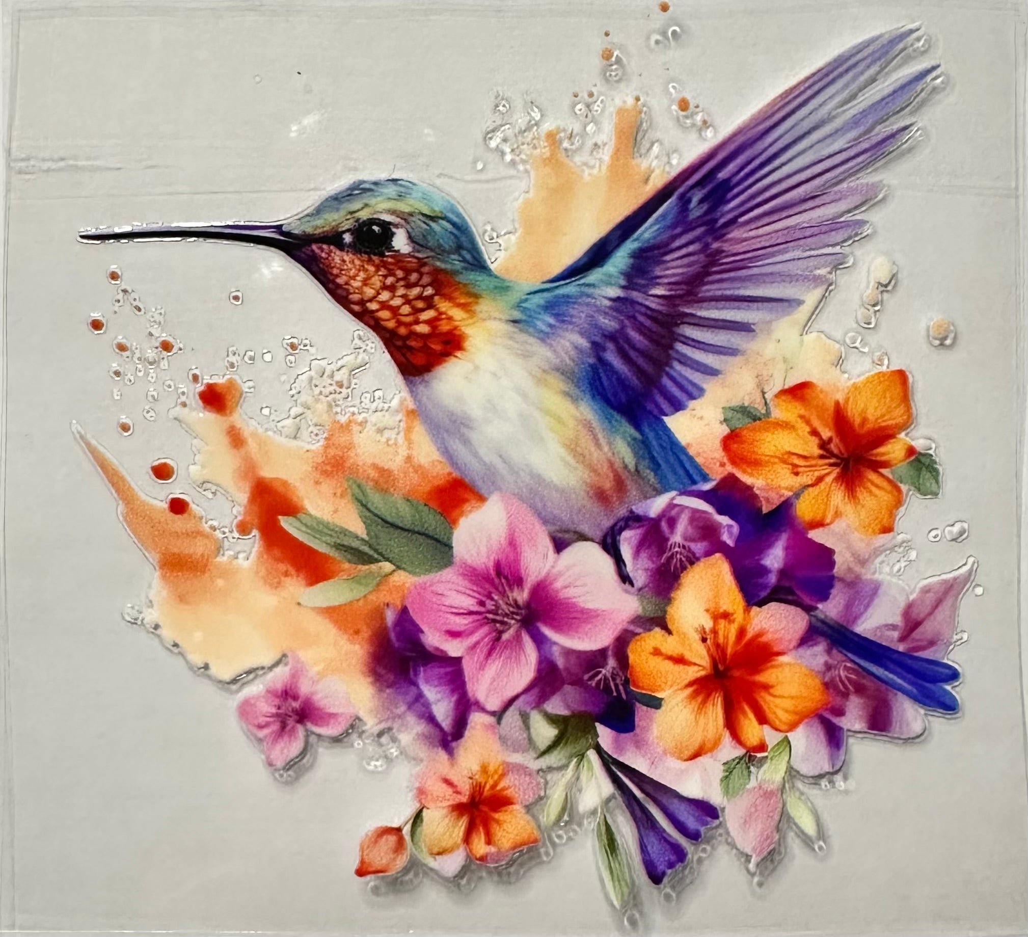 Humming Bird-003