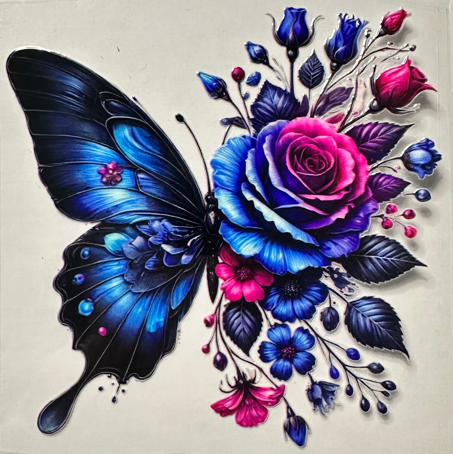 Butterfly Blue & Fuchsia-028
