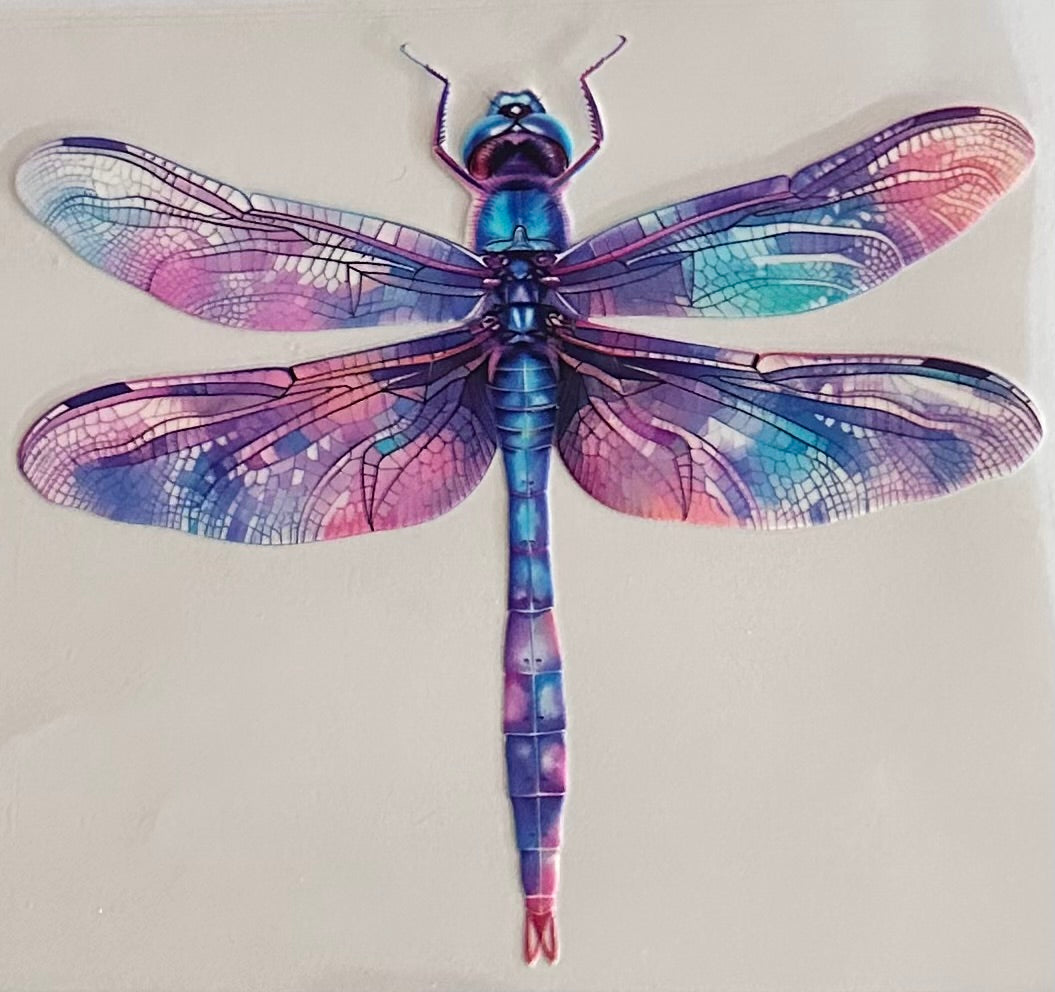 Dragon Fly 041