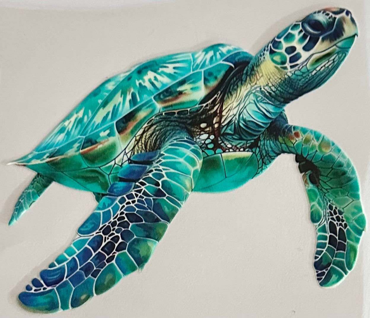 Sea Turtle 044