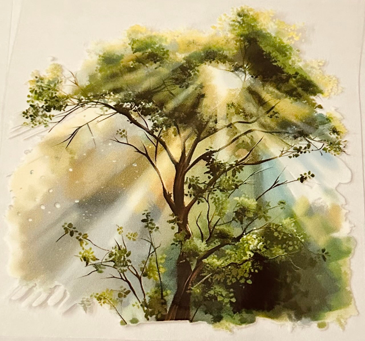 Tree with Sunbeam 1 138