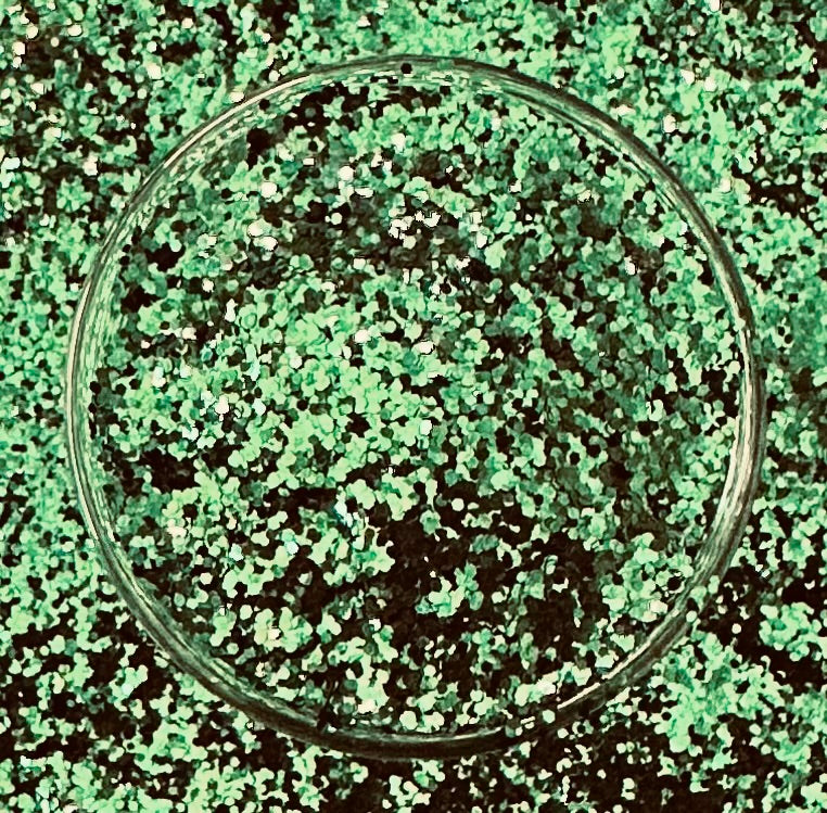 August Entire Collection