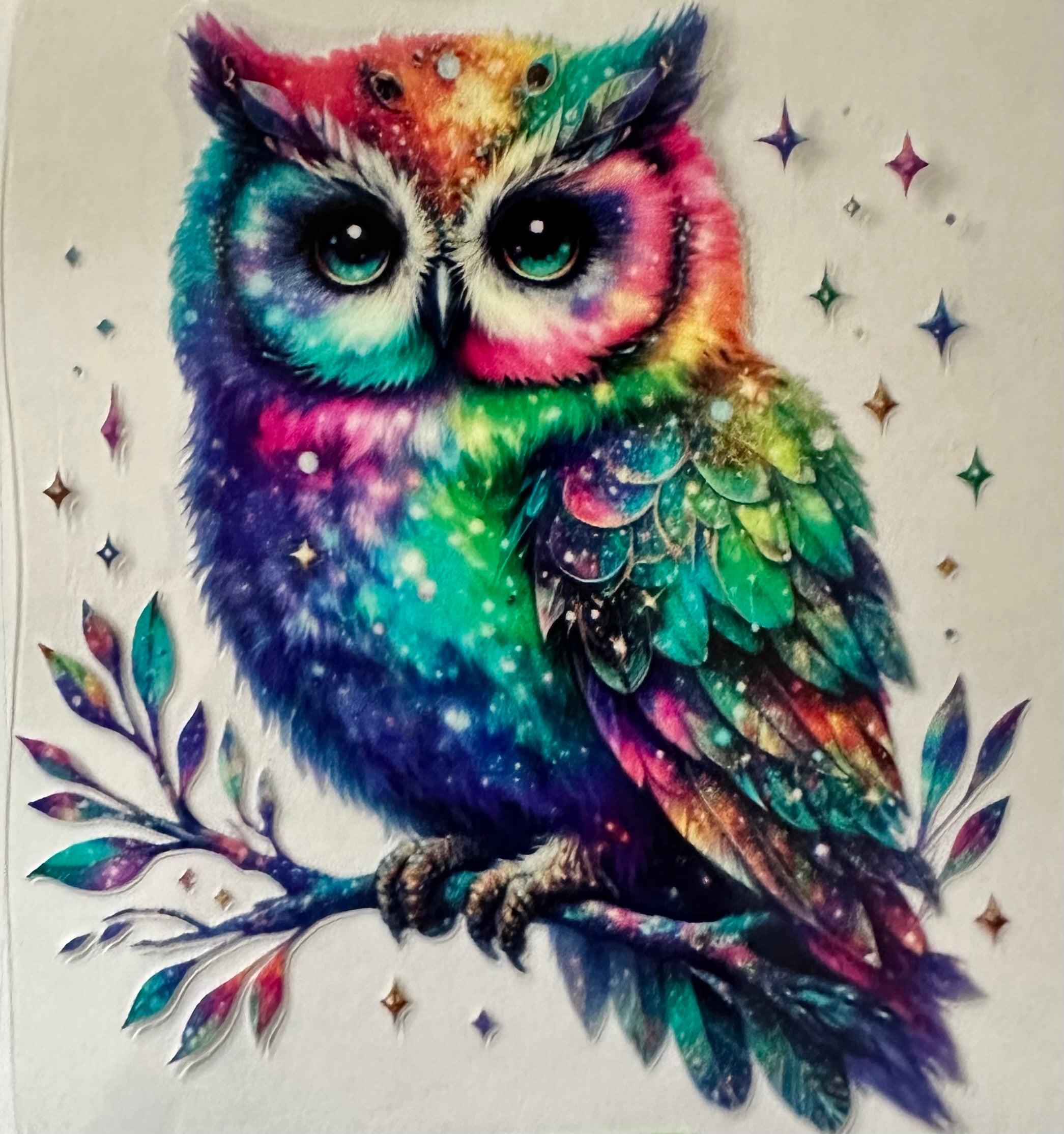 Colorful Owl 072