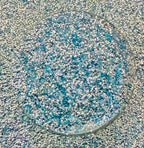 Blue Moon (Bubble Glitter)