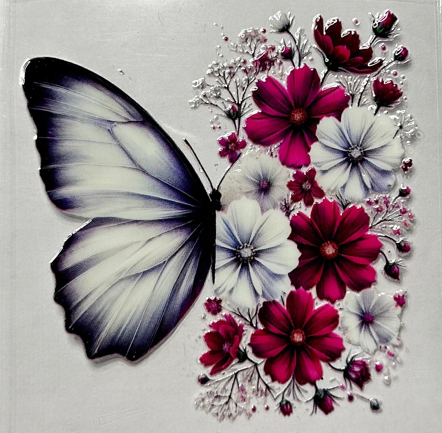 White Butterfly-001
