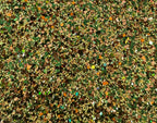 Glitterology Mixes - August