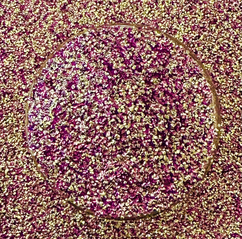 Pansy (Bubble Glitter)