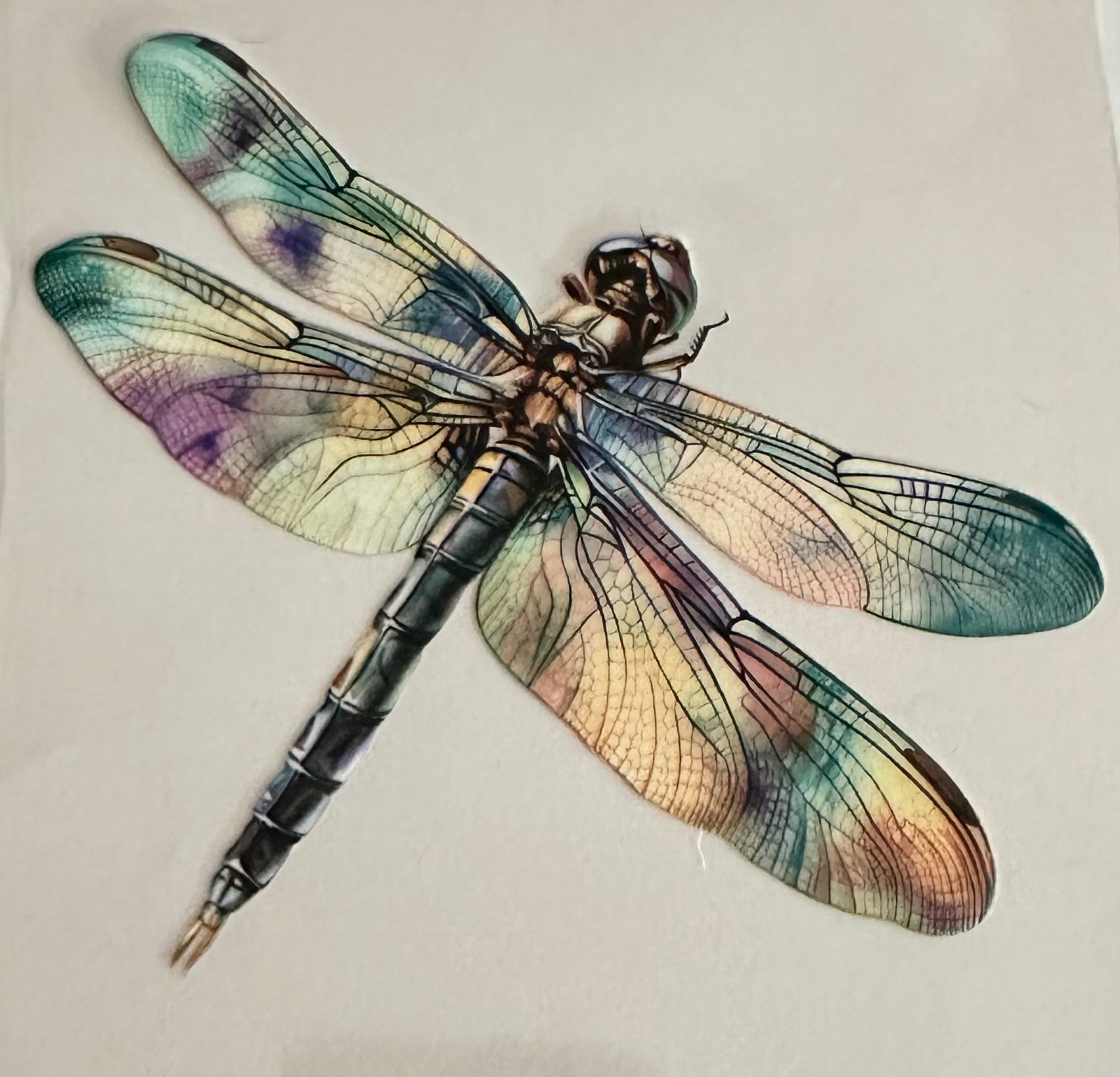 Water Color Dragon Fly 047