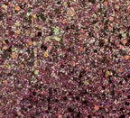 September Glitterology Mixes