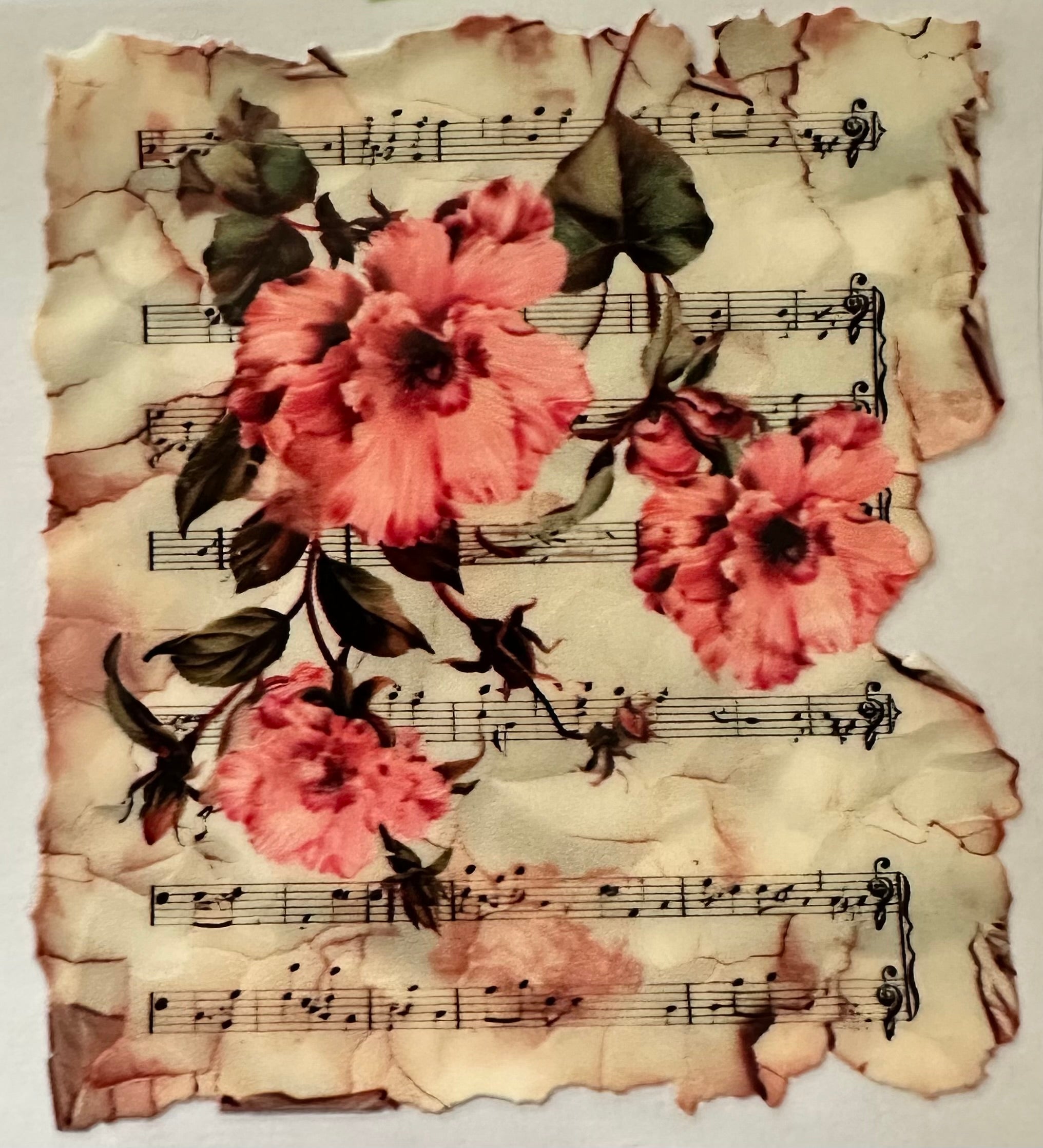 Music Sheet with Flowers 066