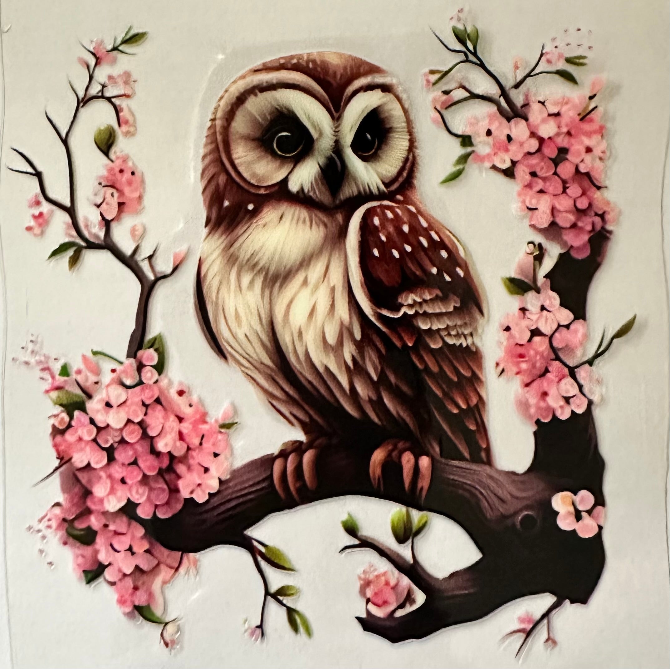 Cherry Blossom Owl 071
