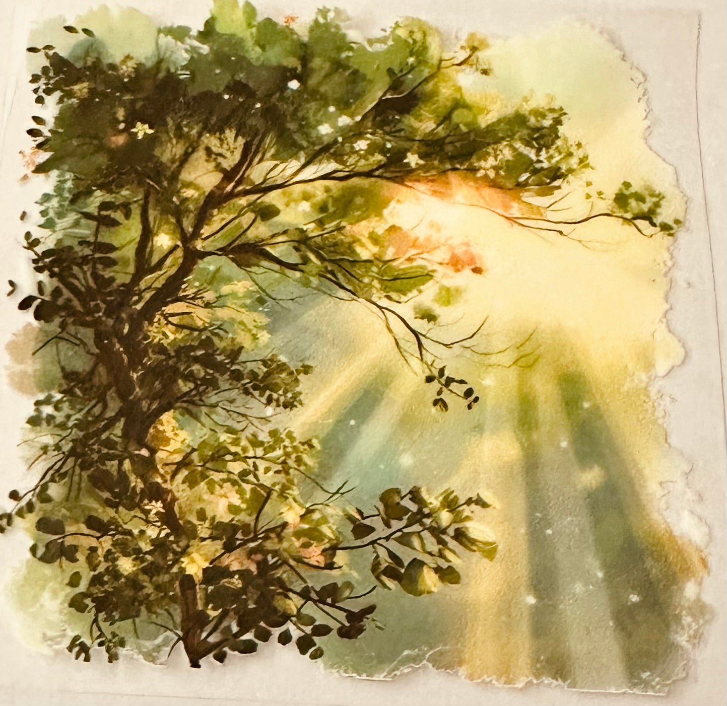 Tree with Sunbeam 2 139