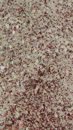 Memories of November by Nikki