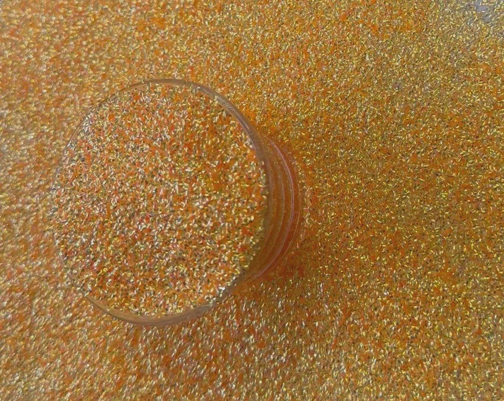 Sorbet (Bubble Glitter)